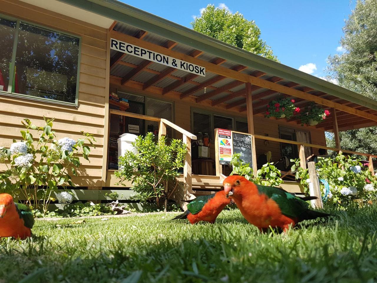 Jamieson Caravan Park 外观 照片
